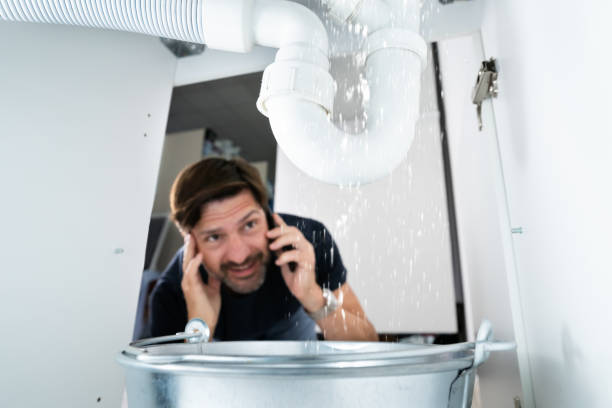 Best Shower Repair Services  in Treasure Island, FL