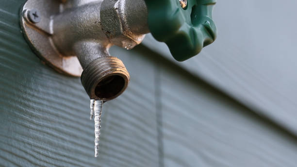 Best Sprinkler Systems  in Treasure Island, FL